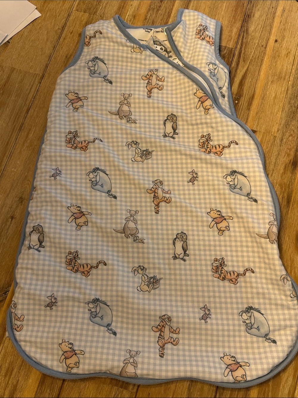 Copper Pearl Winnie the Pooh  sleep sack - 0-6 month - 1 Tog